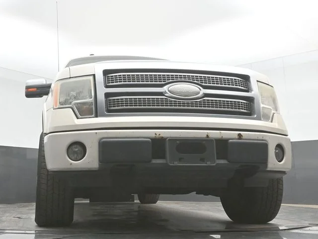 Used 2009  Ford Platinum image 40