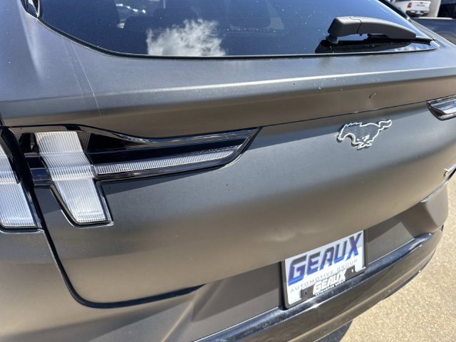 Used 2023 Blue Ford California Route 1 image 19