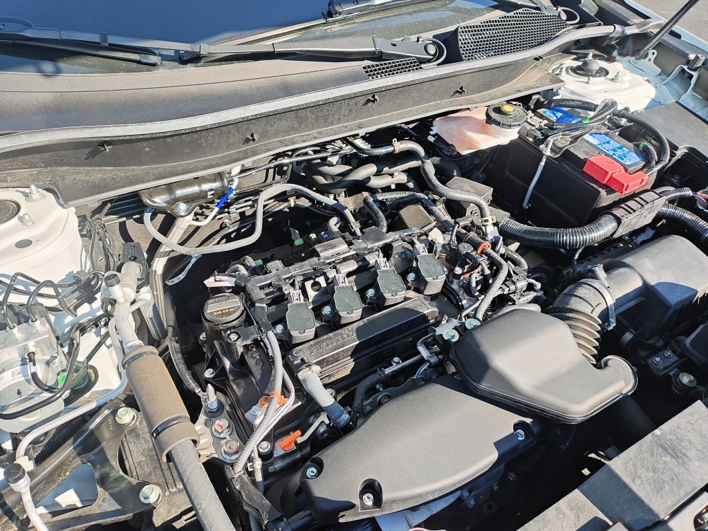 Used 2024 Gray Honda LX image 24