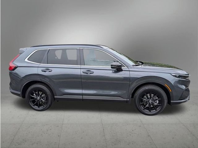 New 2026 Meteorite Gray Metallic Honda Sport image 6