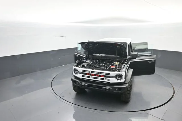 New 2026 Black Ford Heritage Edition image 33