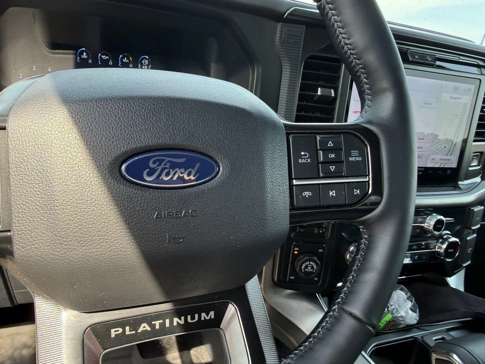 Used 2025 Star White Ford Platinum image 19
