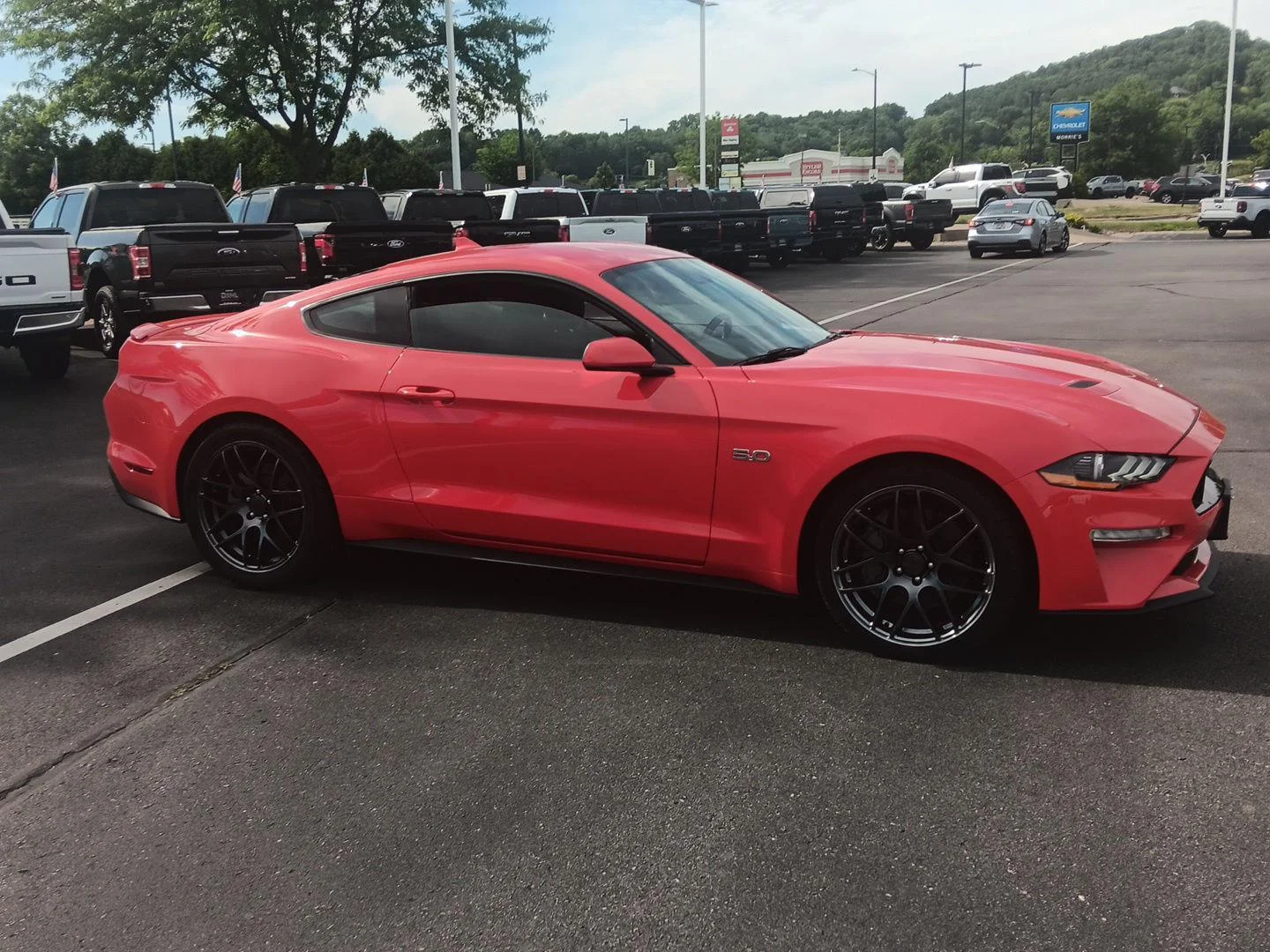 Used 2021 Ford Mustang GT with VIN 1FA6P8CF5M5127104 for sale in Winona, Minnesota