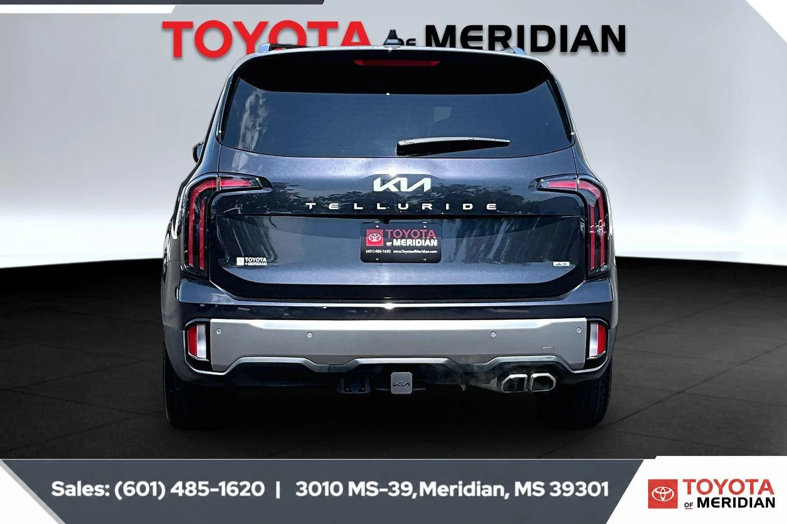 Used 2025 Panthera Metal Kia SX image 4