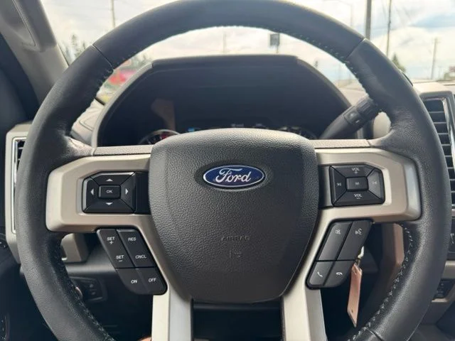 Used 2017 Magnetic Ford Lariat image 18
