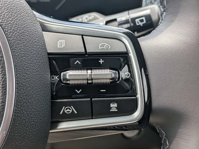 New 2026 Panthera Metal Kia SX image 27