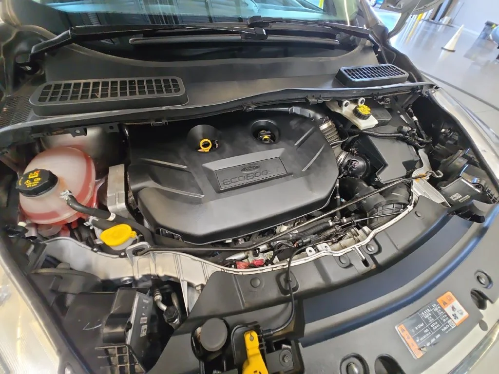 Used 2019 Silver Ford Titanium image 30