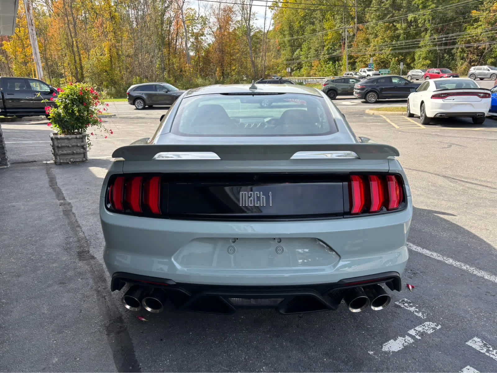 Used 2022 Fighter Jet Gray Ford Mach 1 image 6
