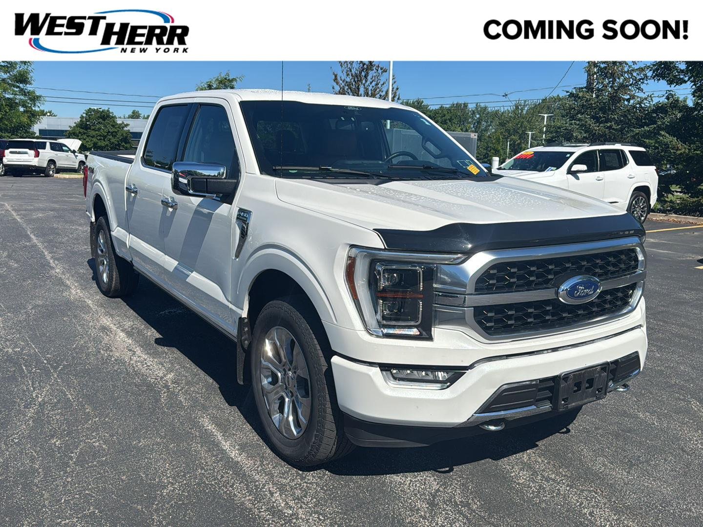 Used 2021 Star White Metallic Tri-Coat Ford Platinum image 1