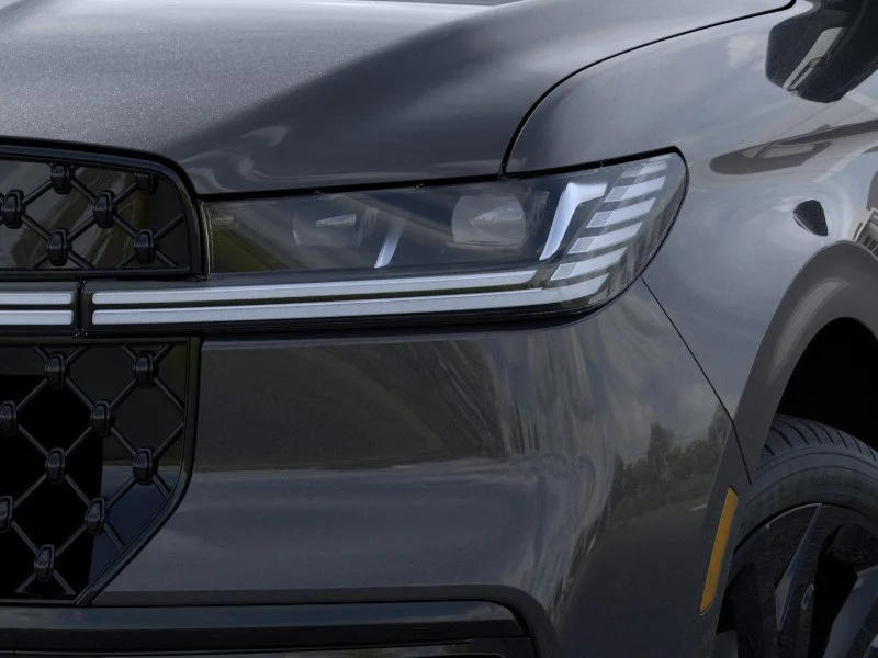 New 2026 Starlight Gray Premium Colorant Lincoln Black Label image 18