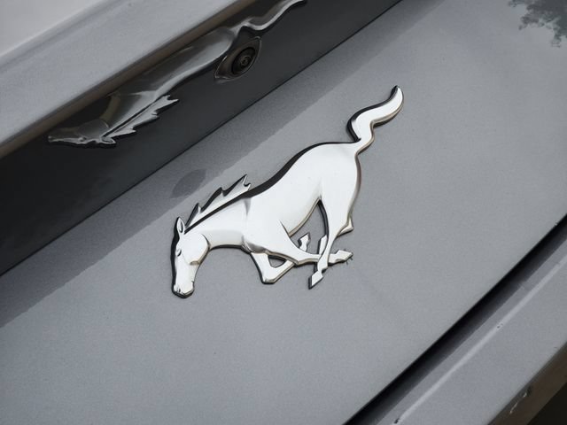 Used 2026  Ford EcoBoost image 9