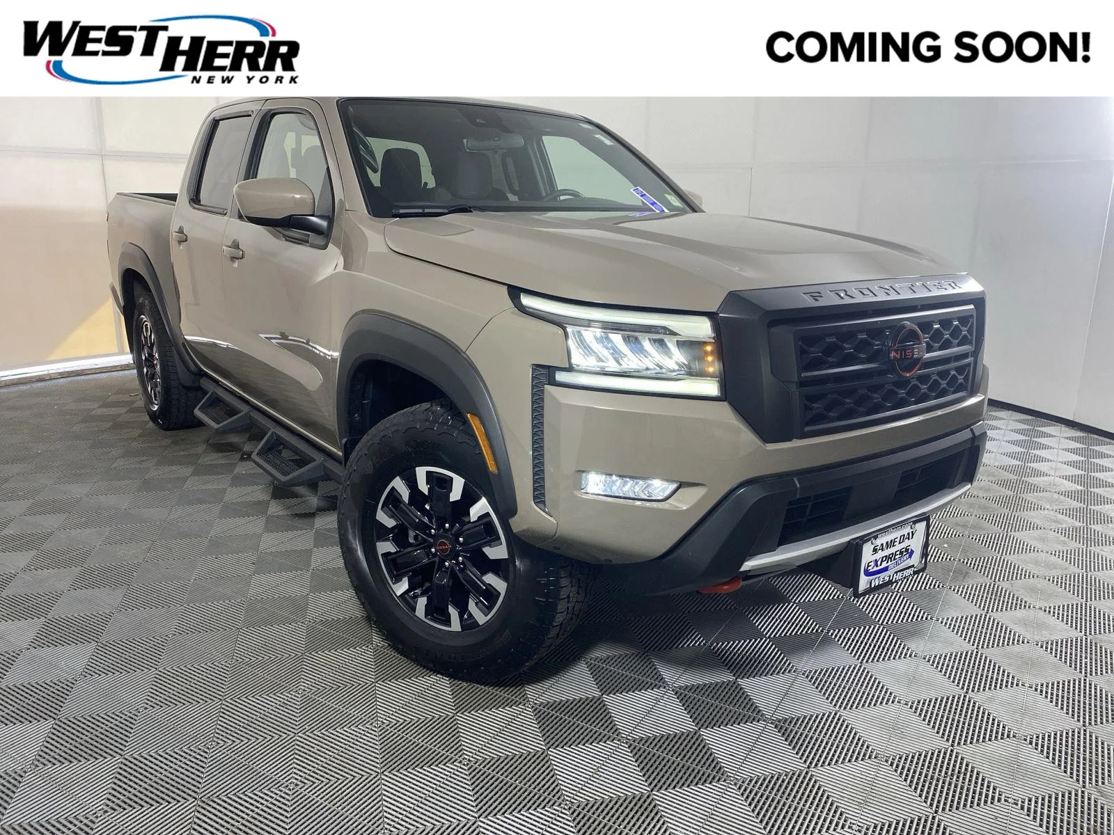 Used 2024 Baja Storm Nissan PRO-4X image 1