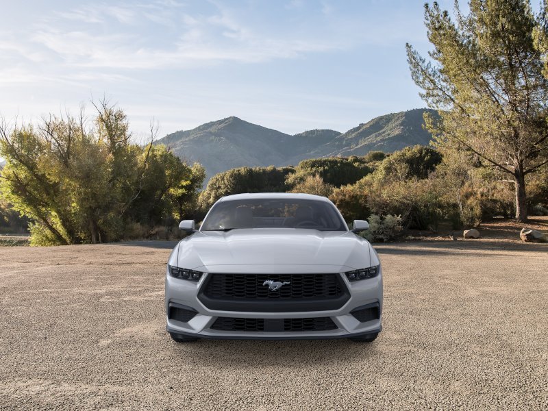 New 2026 Avalanche Gray Ford EcoBoost® Fastback image 28