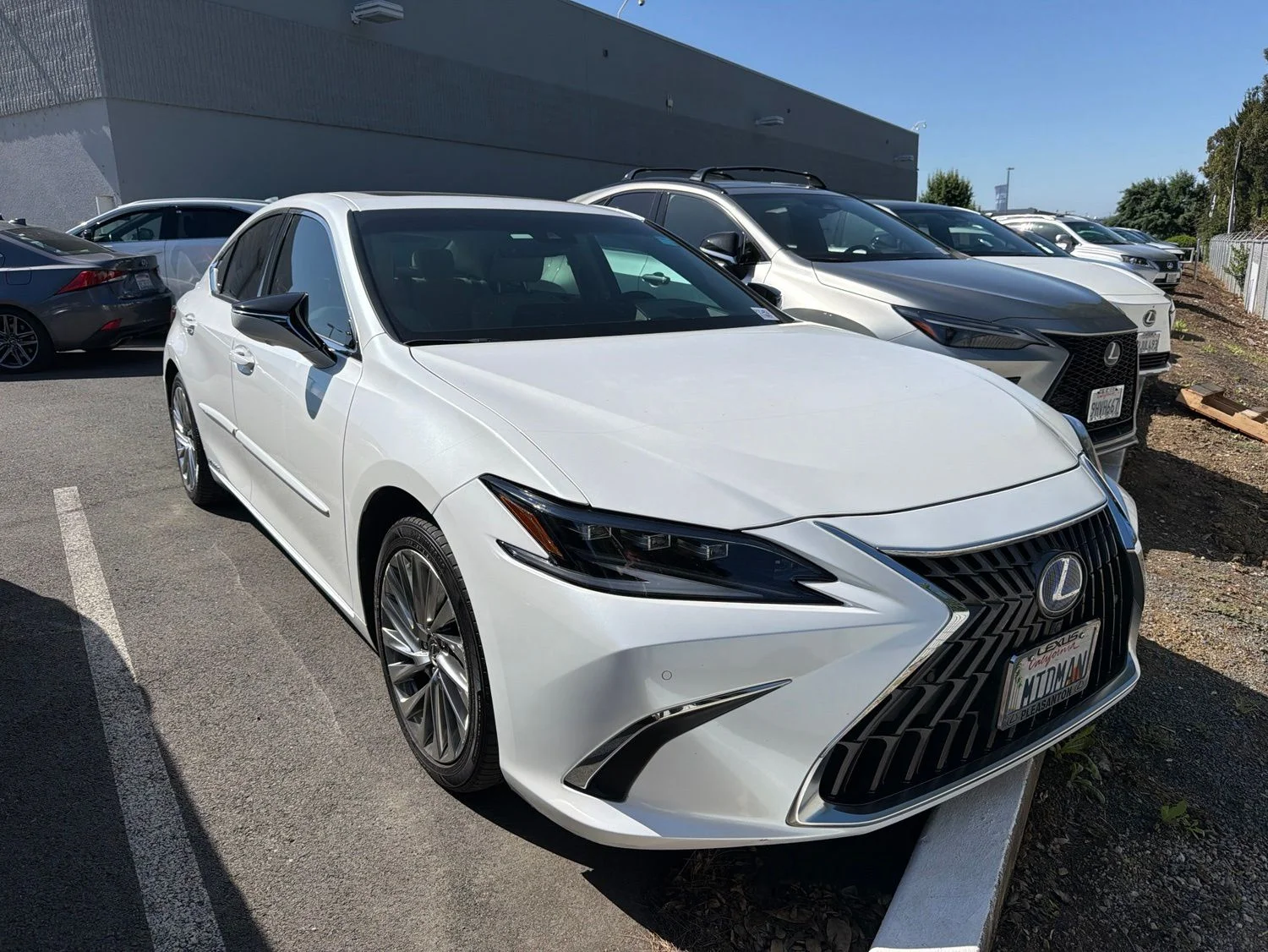 2022 Lexus ES 300h 300h Luxury's photo