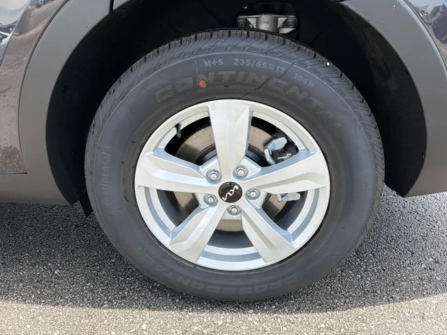 New 2026 Panthera Metal Kia LX image 26