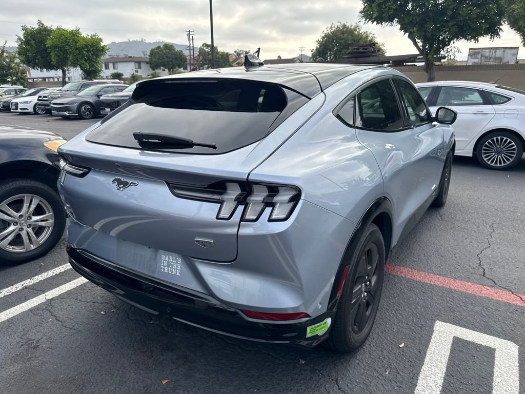 Used 2022 Blue Ford California Route 1 image 3