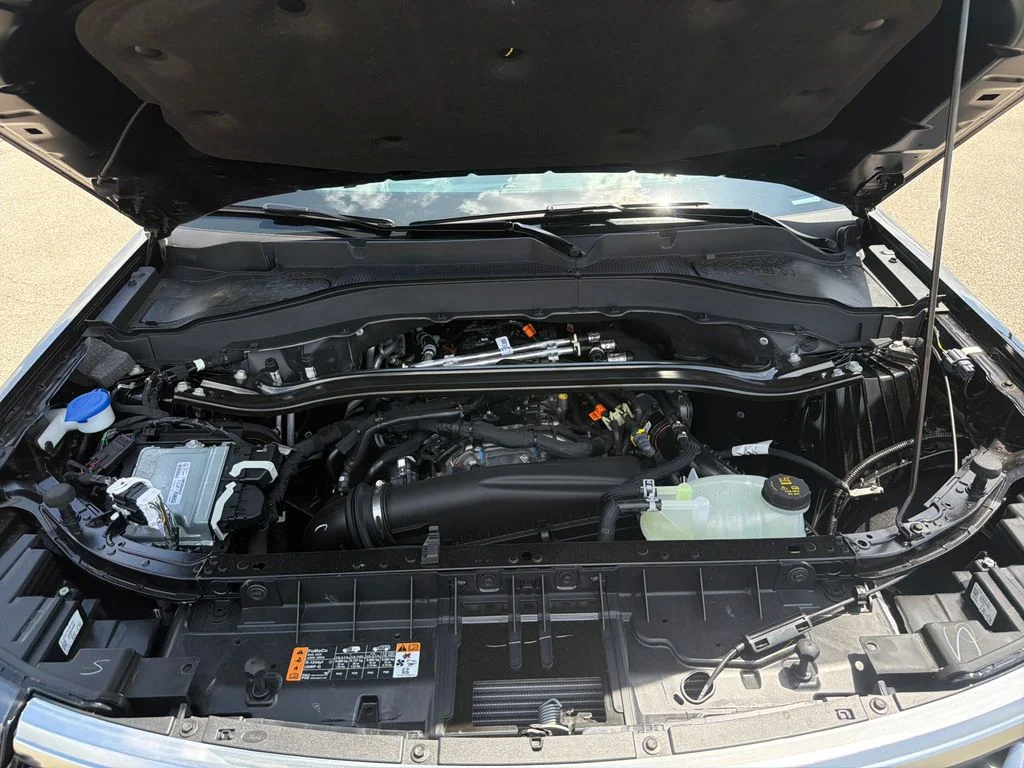 New 2026 Black Ford Platinum image 29
