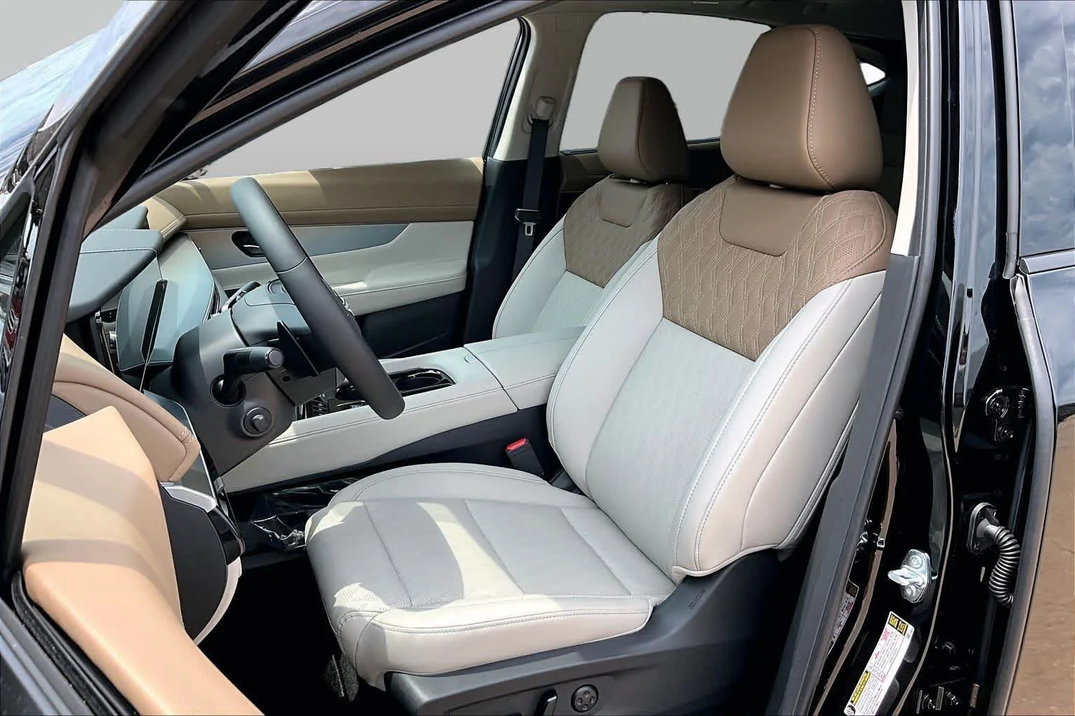 New 2026 Super Black Nissan Platinum image 9