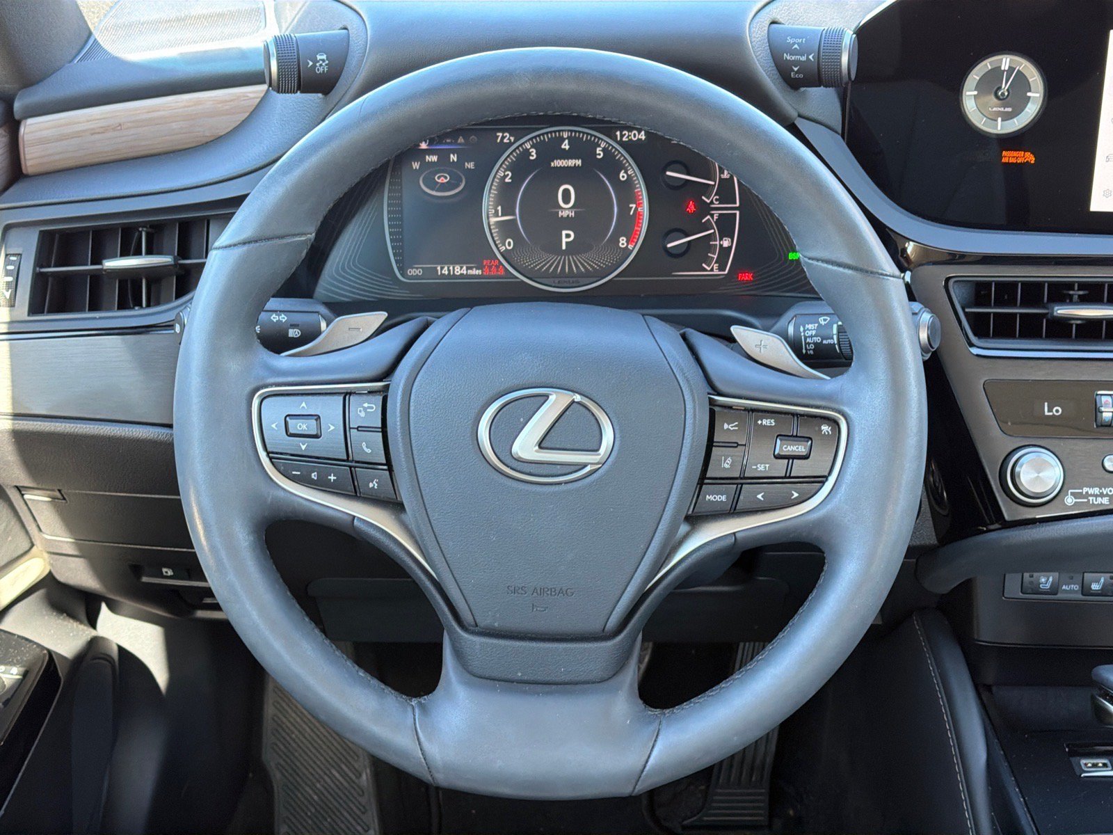 Used 2024 Gray Lexus 250 image 14