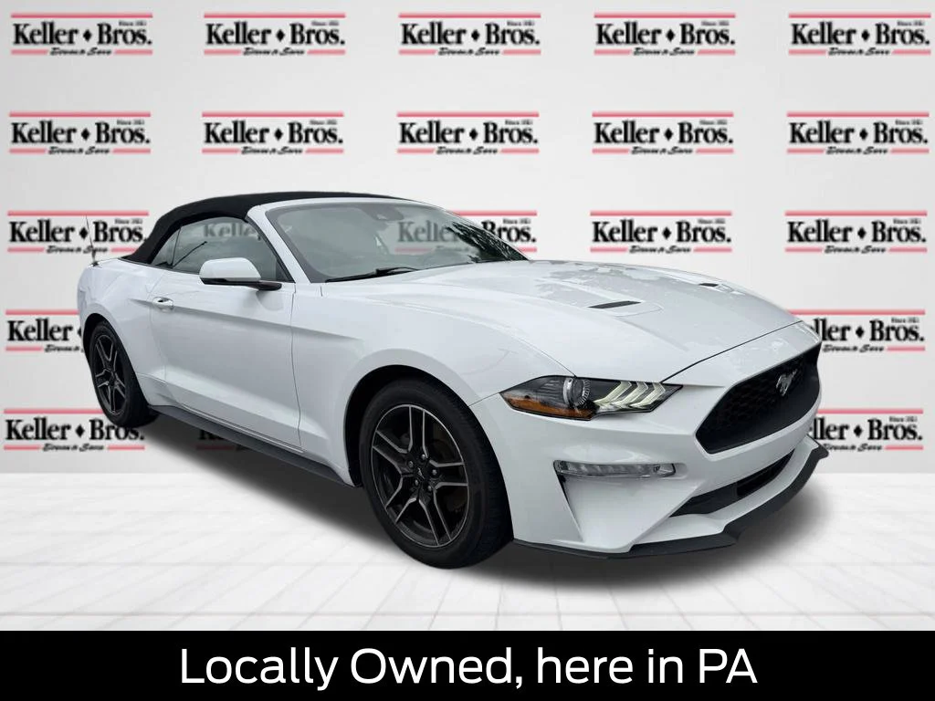 Used 2019 Oxford White Ford EcoBoost Premium image 1