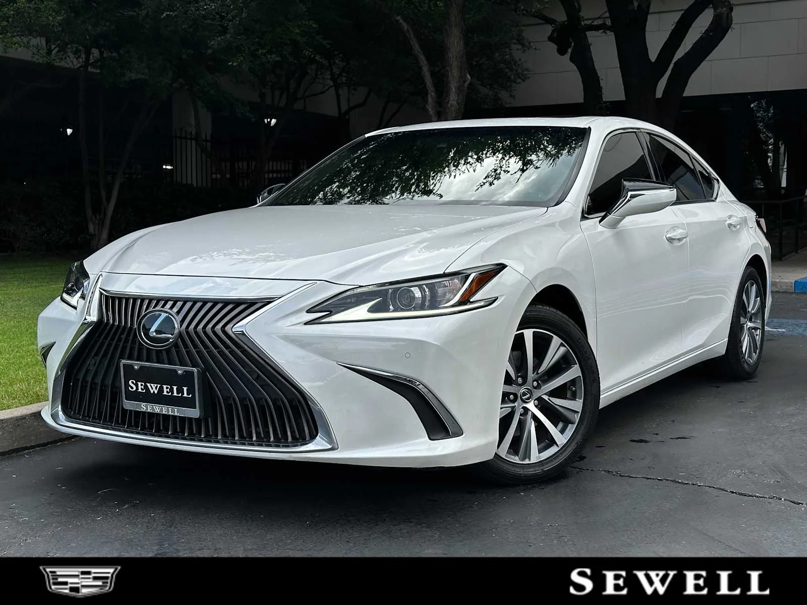 2019 Lexus ES 350 350's photo
