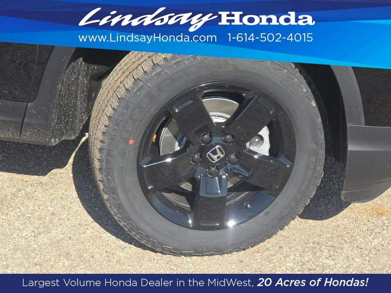 New 2026 Crystal Black Pearl Honda Black Edition image 13
