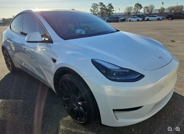2021 Tesla Model Y's photo