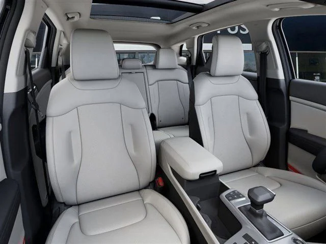 New 2026 Panthera Metal Gray Kia EX image 15
