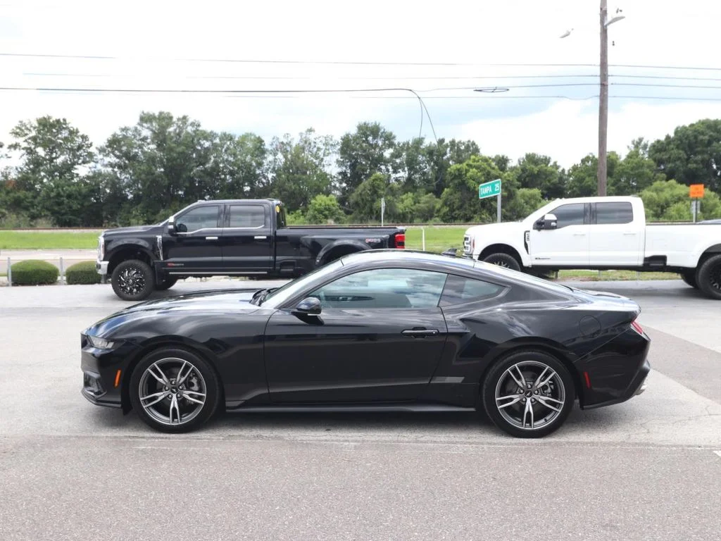 Used 2024 Black Ford EcoBoost image 5