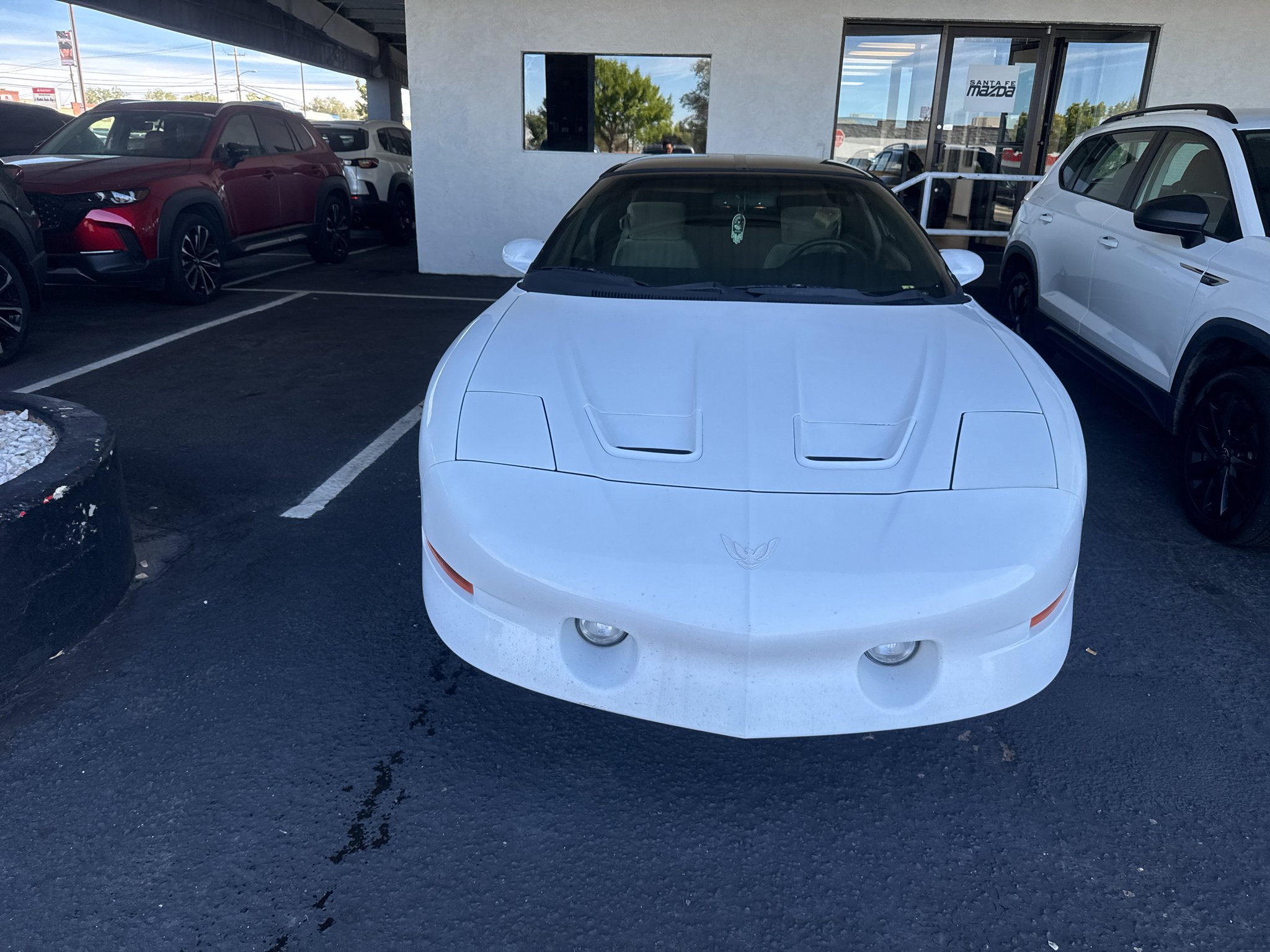 Used 1997  Pontiac Trans Am image 2