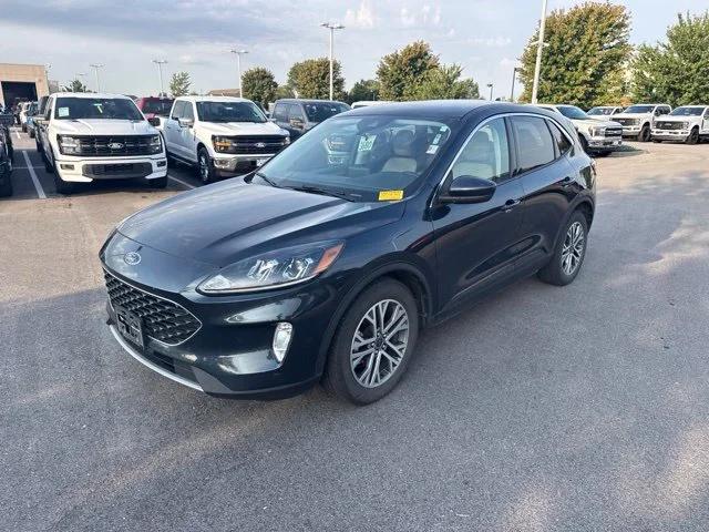 Used 2022 Stone Blue Metallic Ford SEL image 2