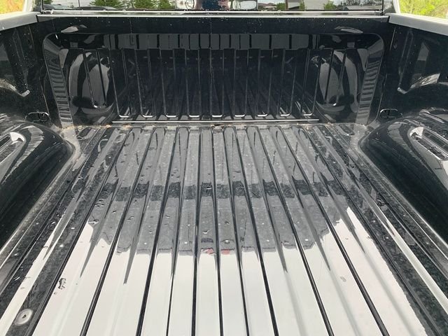 New 2026 Diamond Black Crystal Pearl-Coat Exterior Paint RAM Express image 6