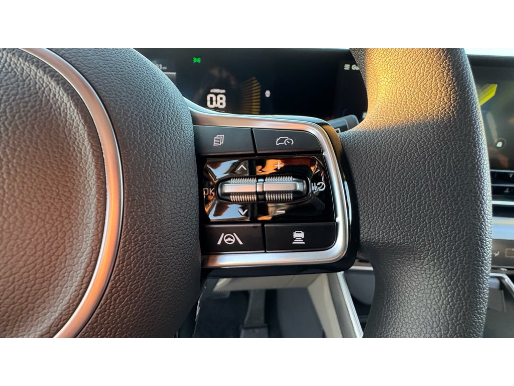 New 2026 Panthera Metal Kia LX image 11