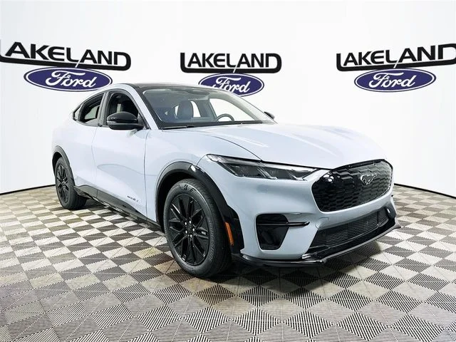 New 2026 Gray Ford Premium image 1