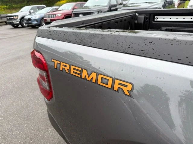 New 2026 Gray Ford Tremor image 18