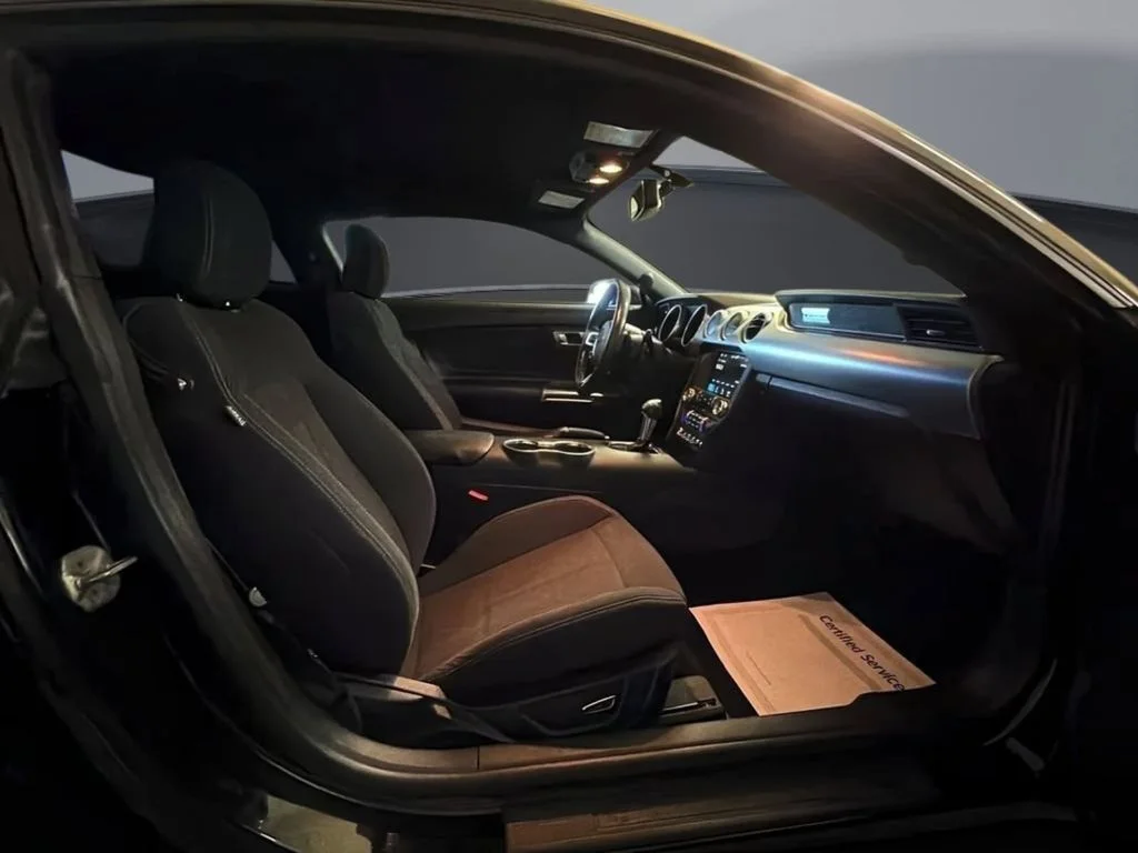 2018 Ford Mustang EcoBoost - Photo 19