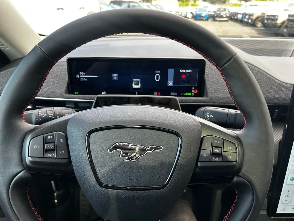 New 2026 Shadow Black Ford Premium image 17