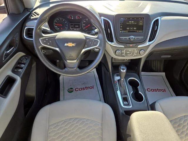 Used 2019 Beige Chevrolet LS image 13