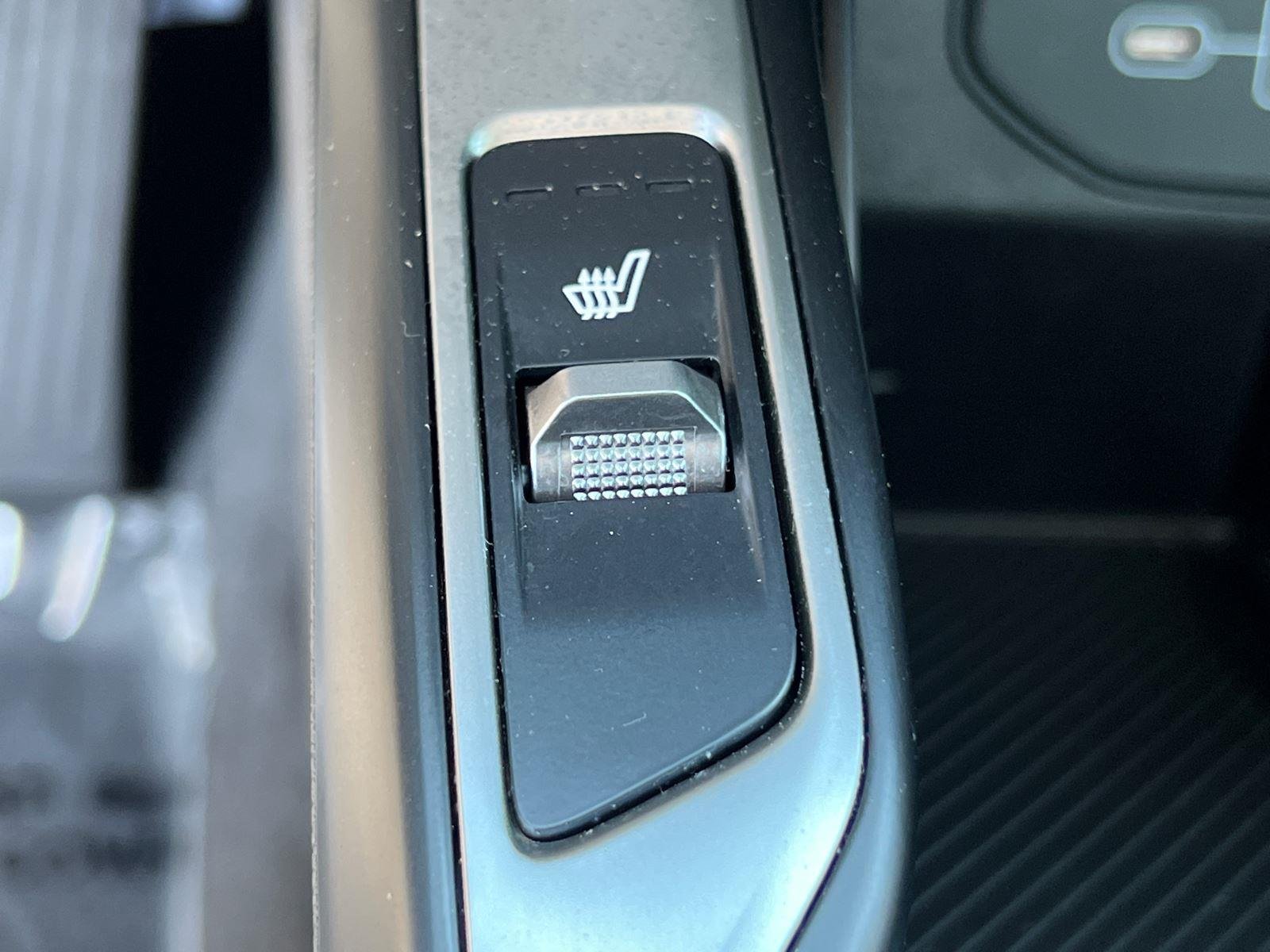 Used 2025 Panthera Metal Kia S image 31
