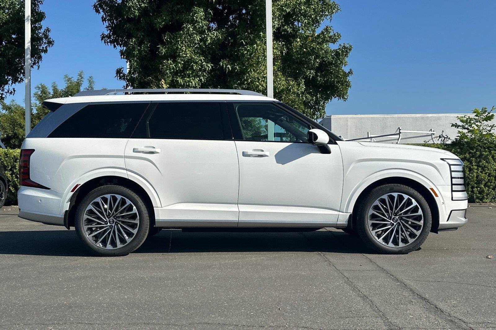New 2027 Creamy White Pearl Hyundai Calligraphy image 2