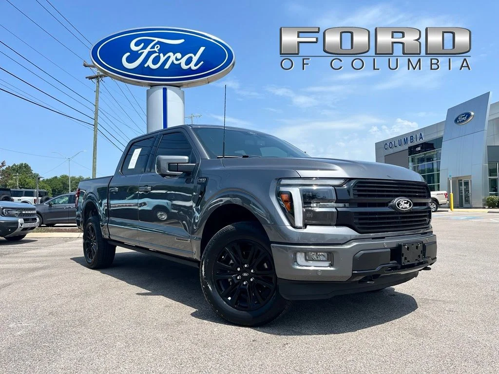 Used 2025 Gray Ford Platinum image 1