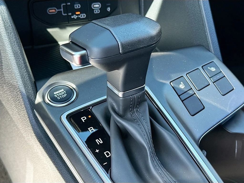 New 2026 Panthera Metal Kia EX image 16