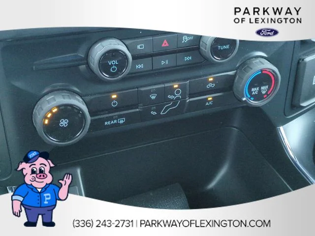 Used 2025 White Ford STX image 23