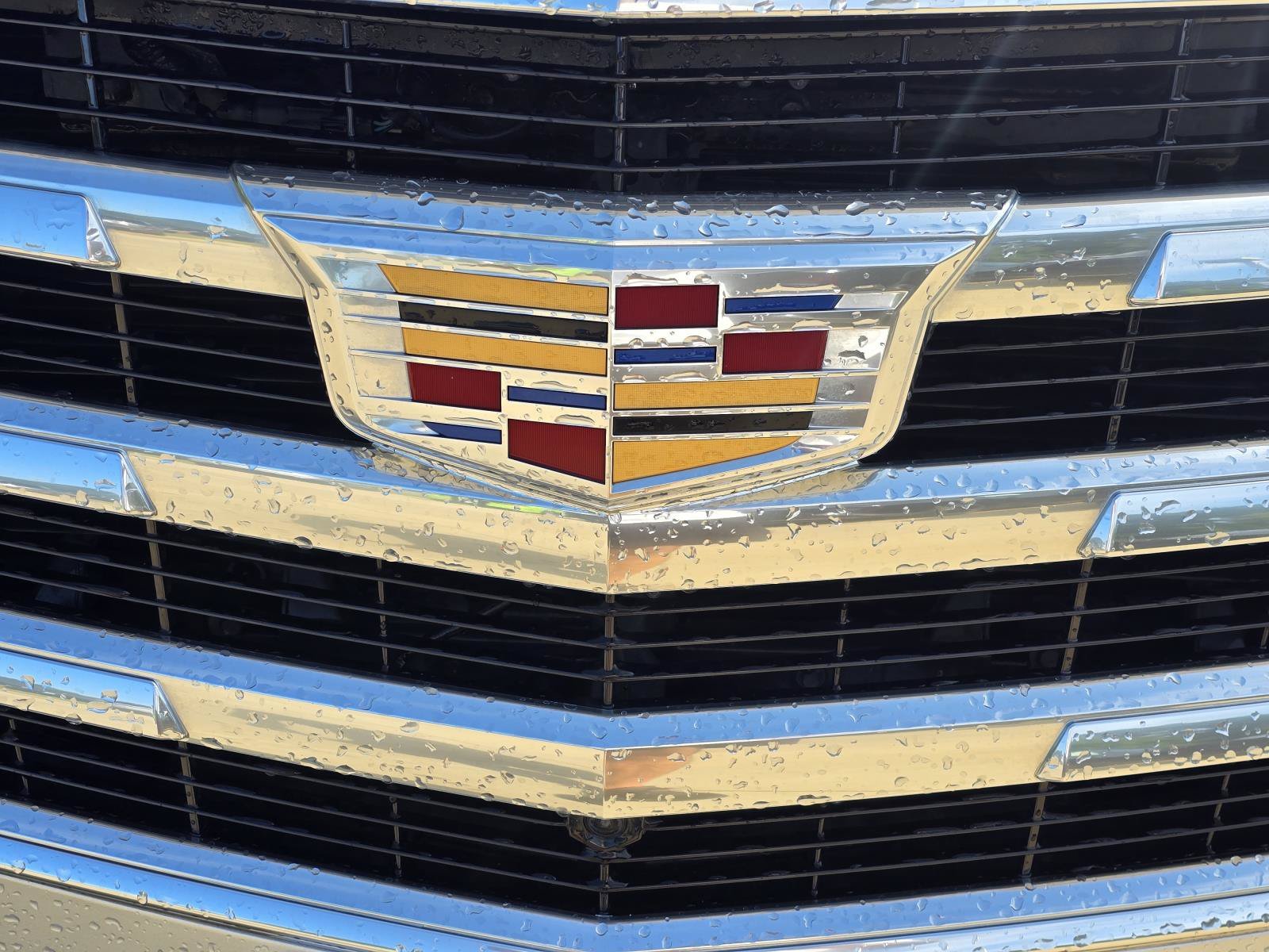 2020 Cadillac Escalade Luxury - Photo 4