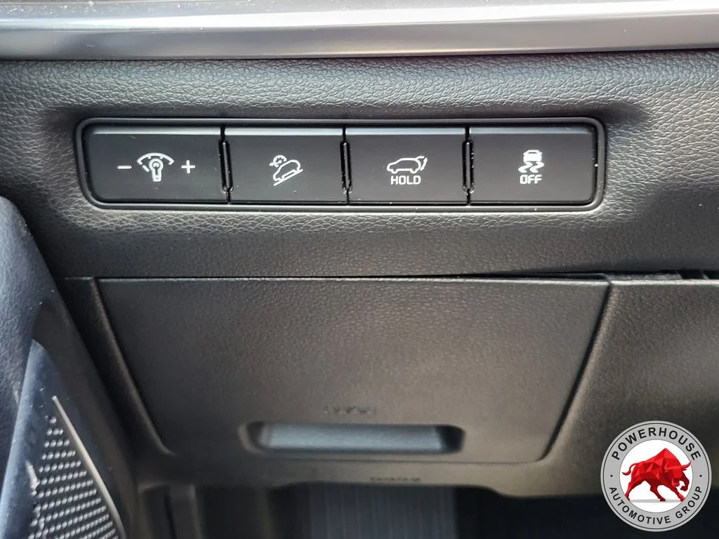Used 2023 Black Kia SX-Prestige image 32