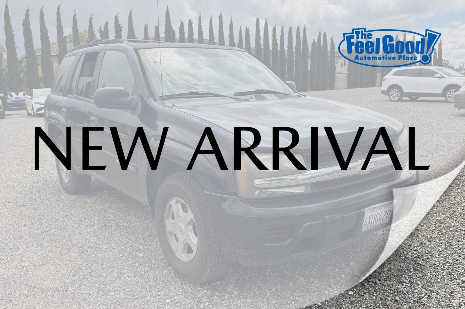 2002 Chevrolet TrailBlazer LS