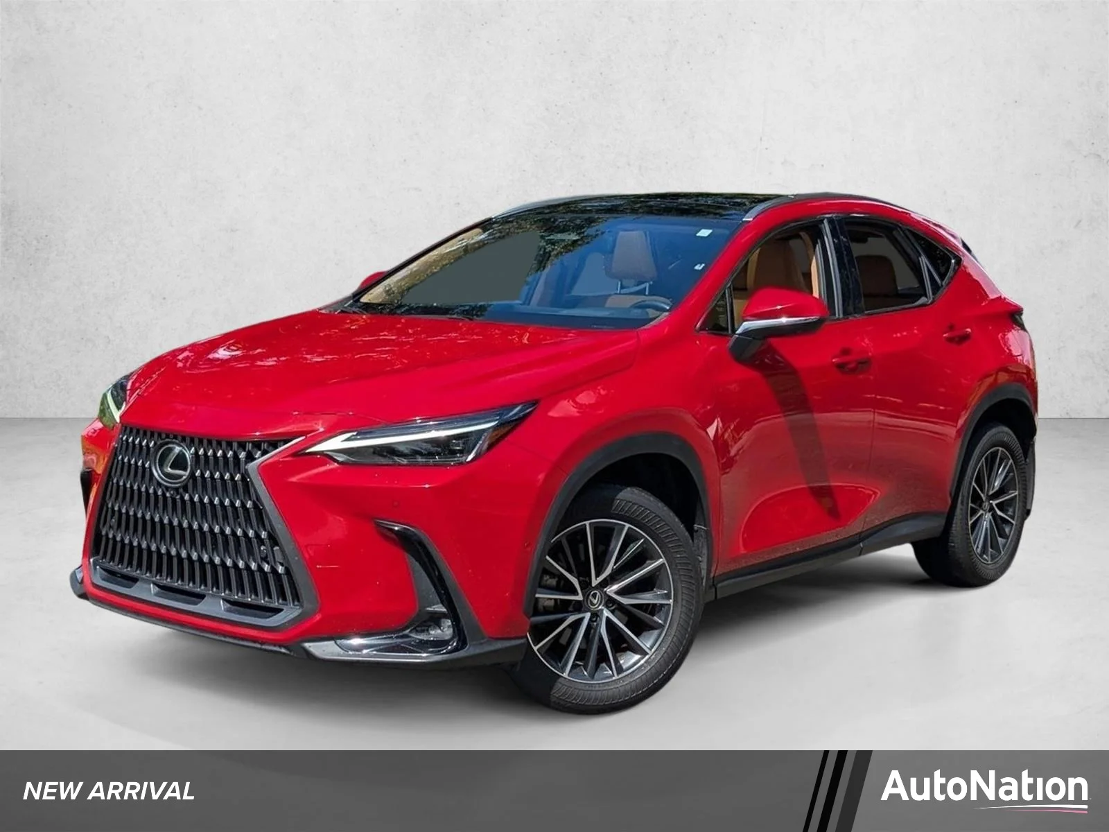 2024 Lexus NX 350h 350h Luxury AWD's photo