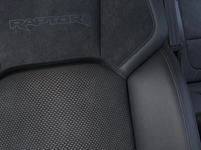 New 2026 Avalanche Gray Ford Raptor® image 18