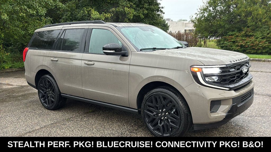 New 2027 Marsh Gray Ford Platinum image 25