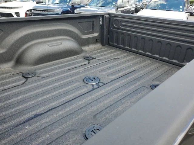 New 2026 Granite Crystal Metallic Clear-Coat Exterior Paint RAM Tradesman image 10